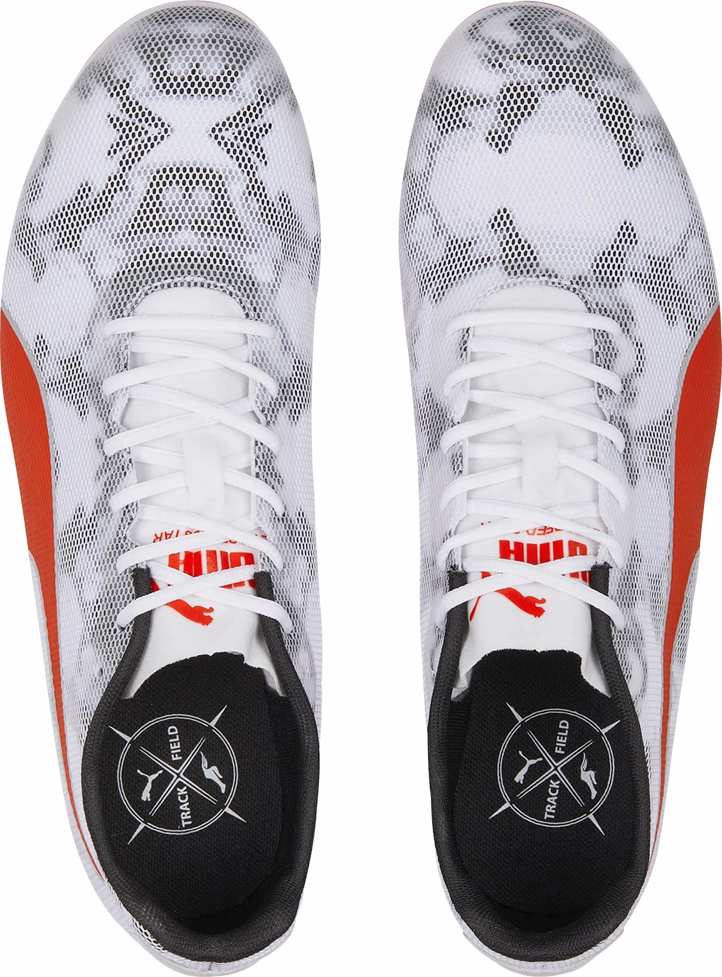 Non Toxic Composite Puma evoSpeed Star 8 Running Spikes - White