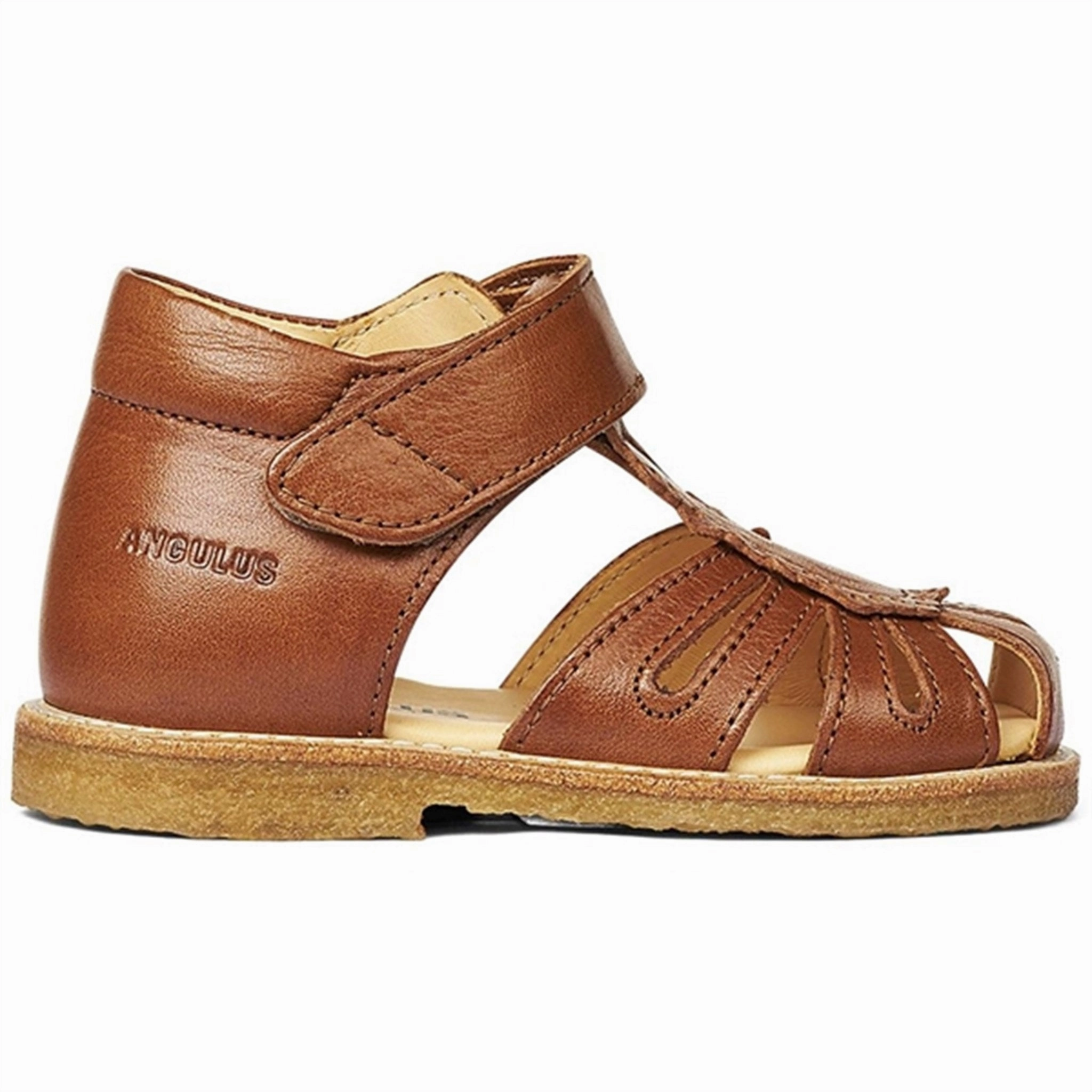 Neoprene Strap Sunday Best Angulus Starter Sandal W. Velcro Cognac