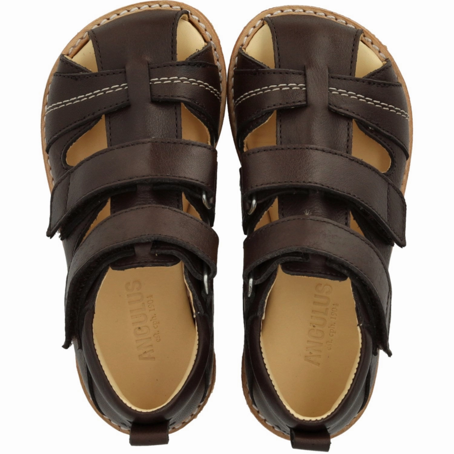 Angulus Dark Brown Beginner Sandal Med Velcro Closure Urban Stroll