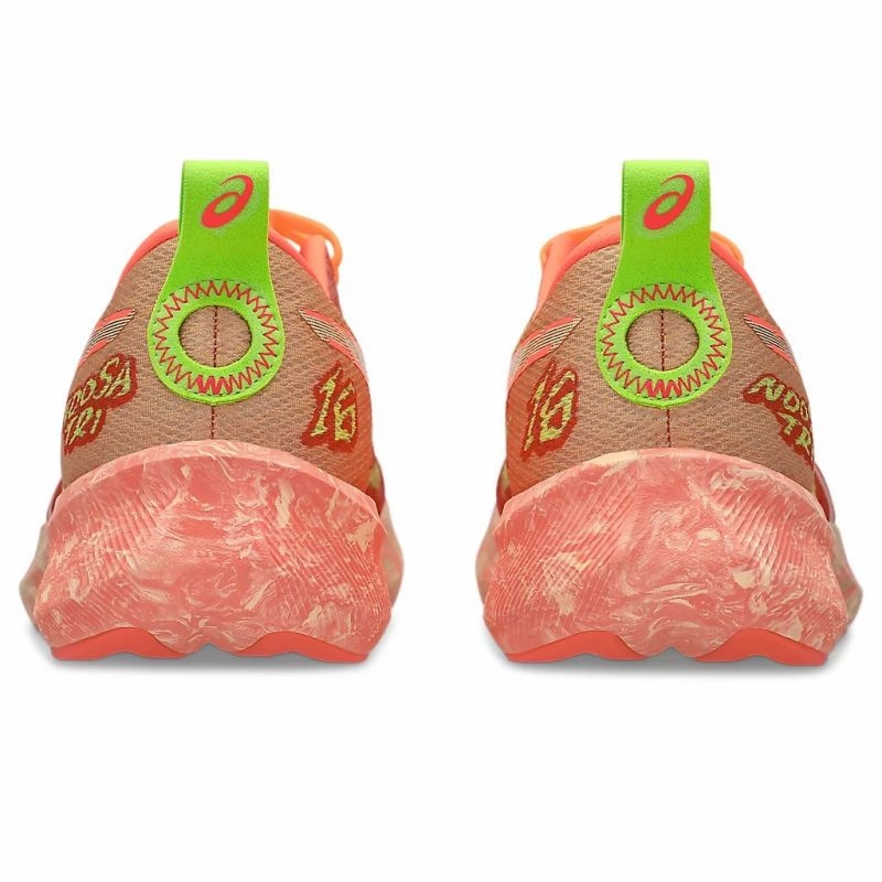 ASICS Noosa Tri 16 D Mens Running Shoes Flexible Sole Design