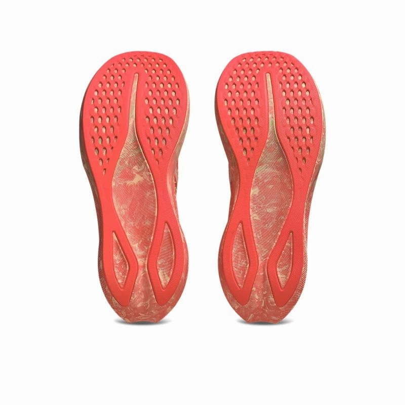 running in a cross - country meet shoes Good Traction ASICS Noosa Tri 16 D Mens Running Shoes