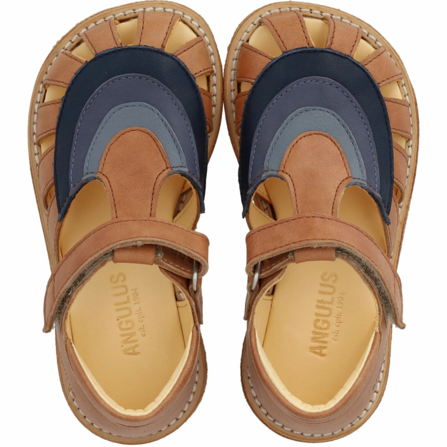 Island Time Angulus Tan/Navy/Indigo/Blue FAnd Colourblock Regnbuesandal Med Velcro