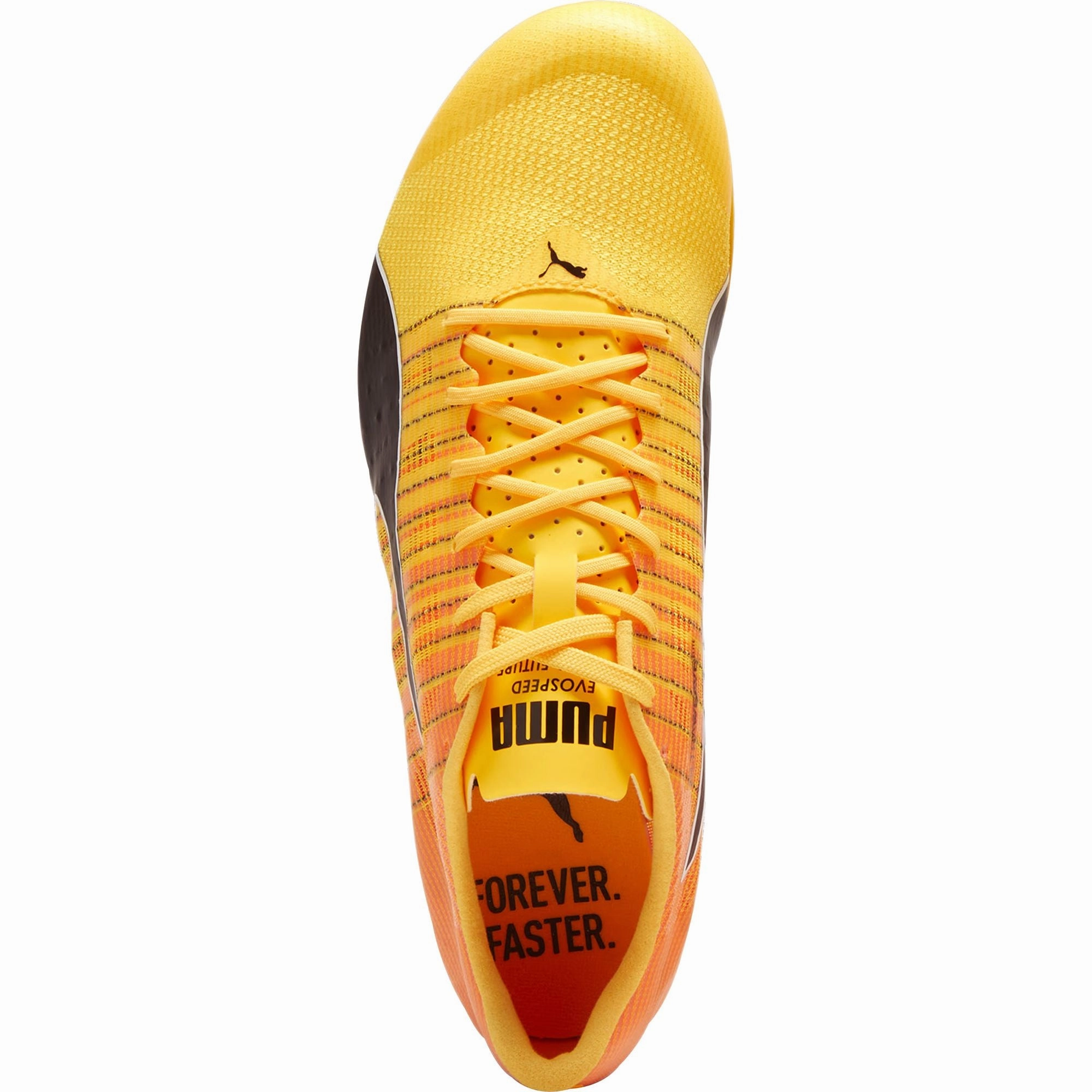 Puma evoSpeed Future 6 Running Spikes - Orange Enhanced Stability