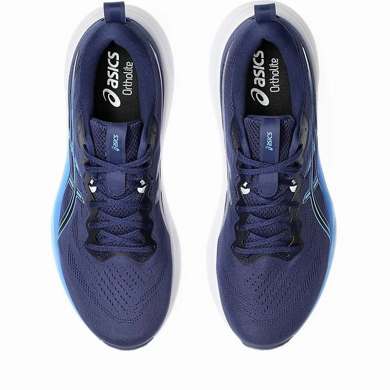 ultra - marathon running in a cliff area shoes ASICS GEL-Pulse 16 D Mens Running Shoes