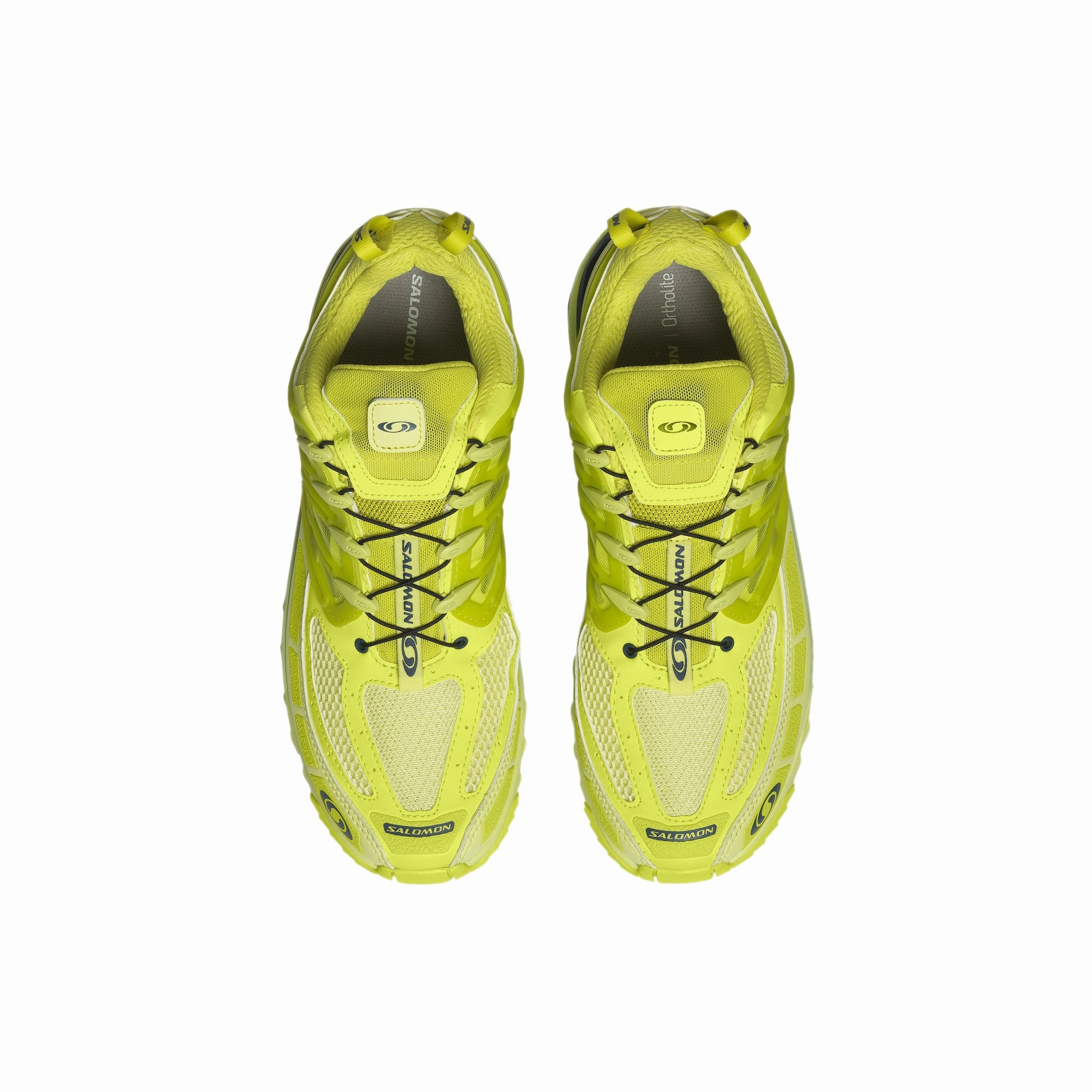 autumn use Salomon Mens ACS Pro Shoes