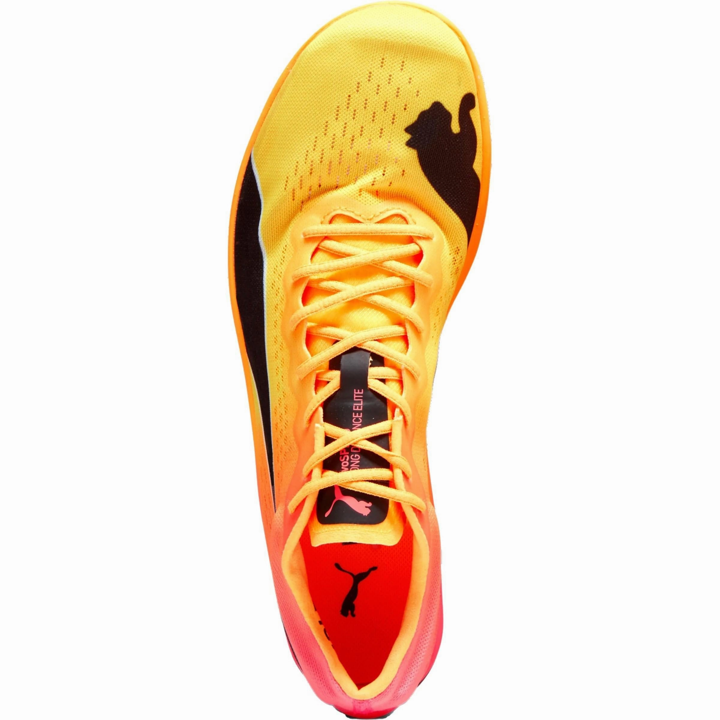 Puma evoSpeed Nitro Elite  Long Distance Running Spikes - Orange Quick Foot