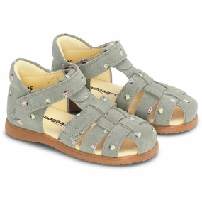 Ground Hug Bundgaard Strawberries Bali