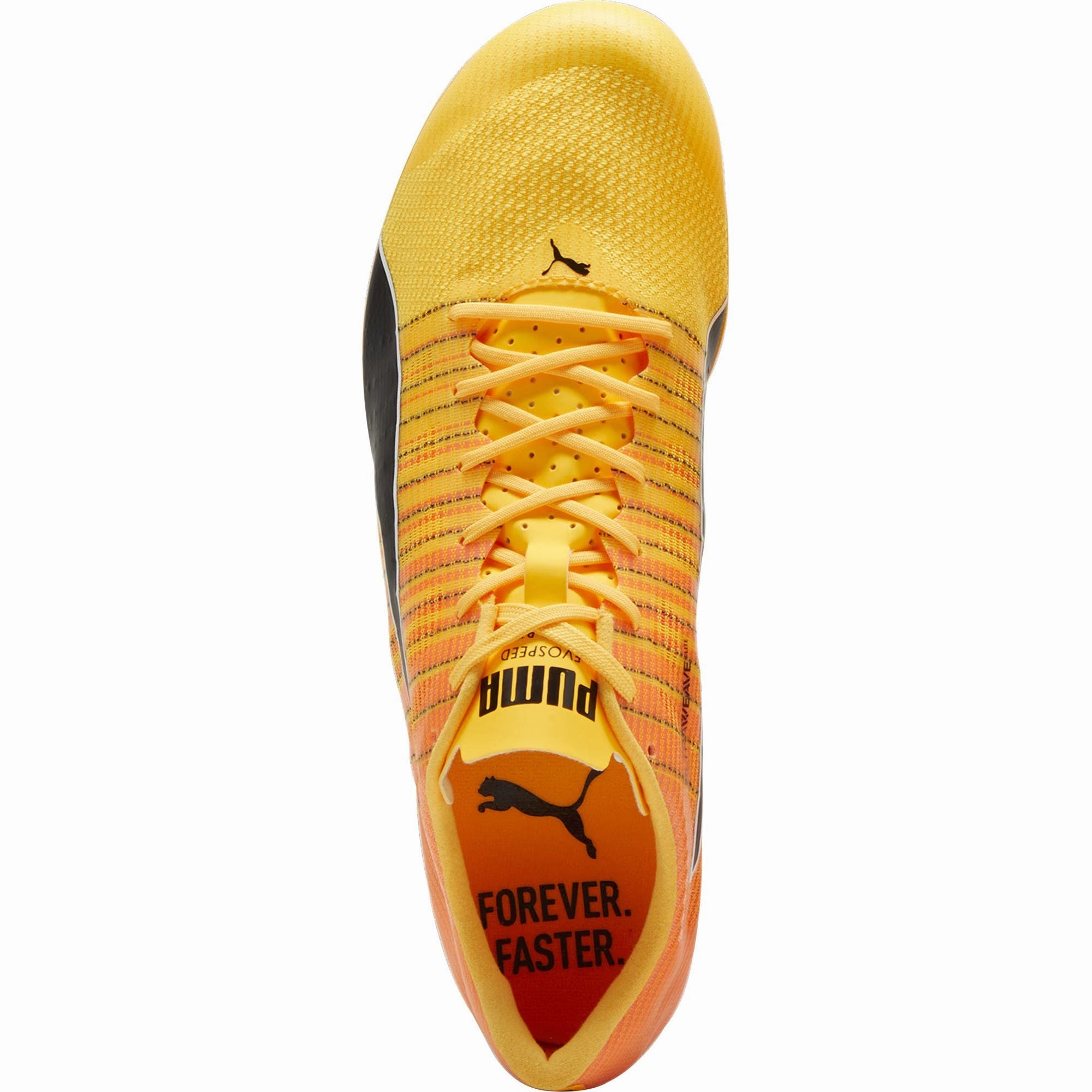 Speed Edge Puma evoSpeed Brush 6 Running Spikes - Orange