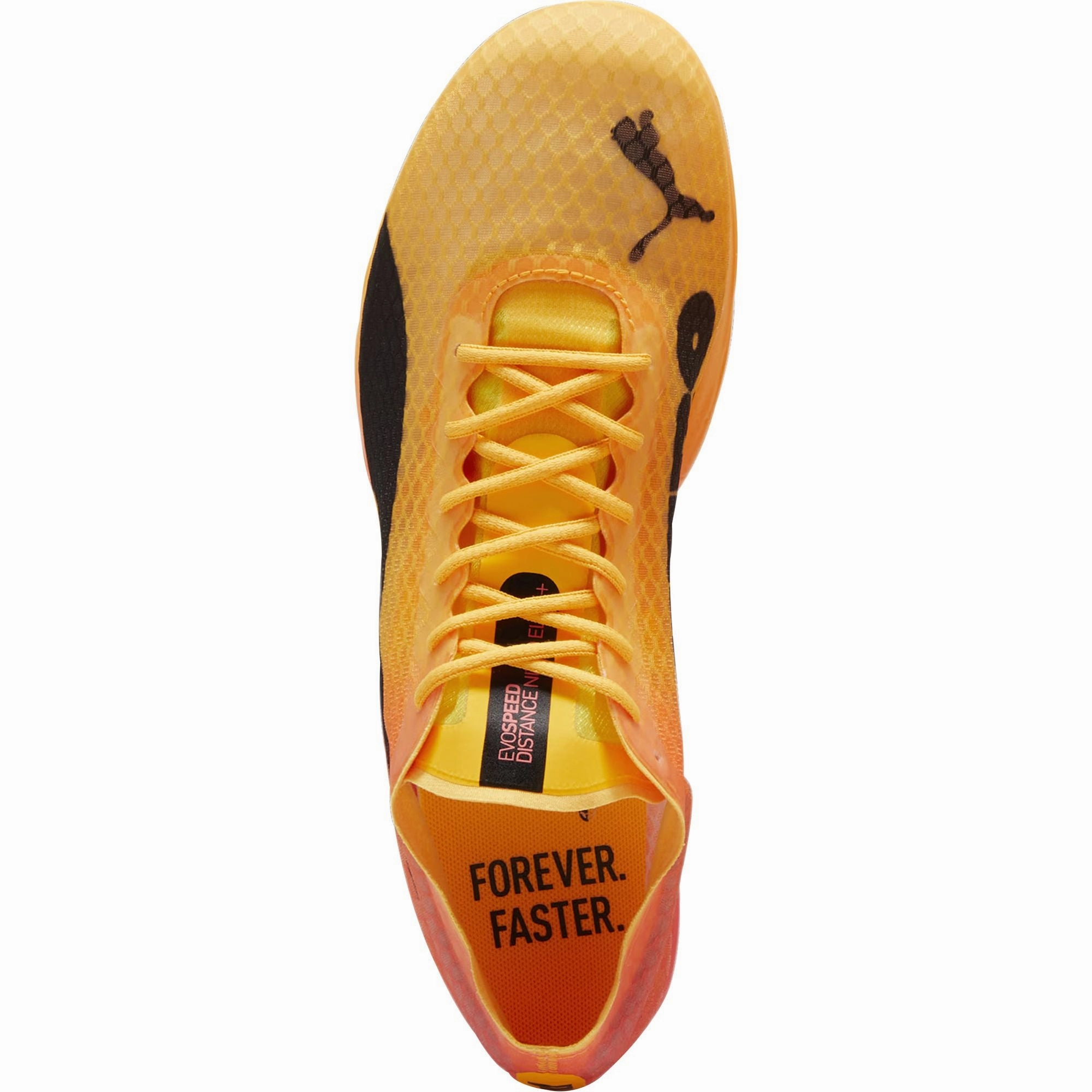 Puma evoSpeed Distance Nitro Elite   4 Running Spikes - Orange Practice Routine Competitive Edge