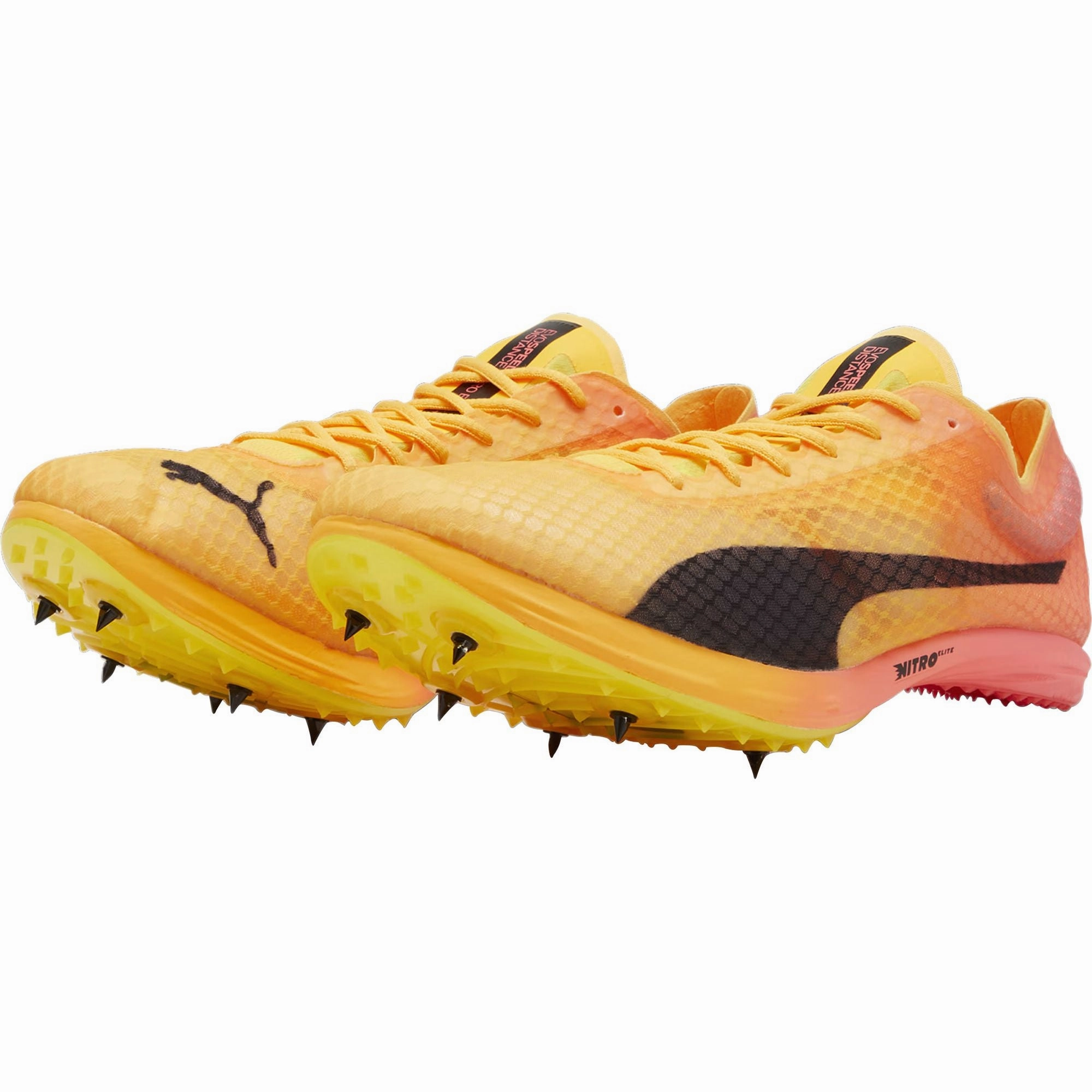 Puma evoSpeed Distance Nitro Elite   4 Running Spikes - Orange Pitch Ready