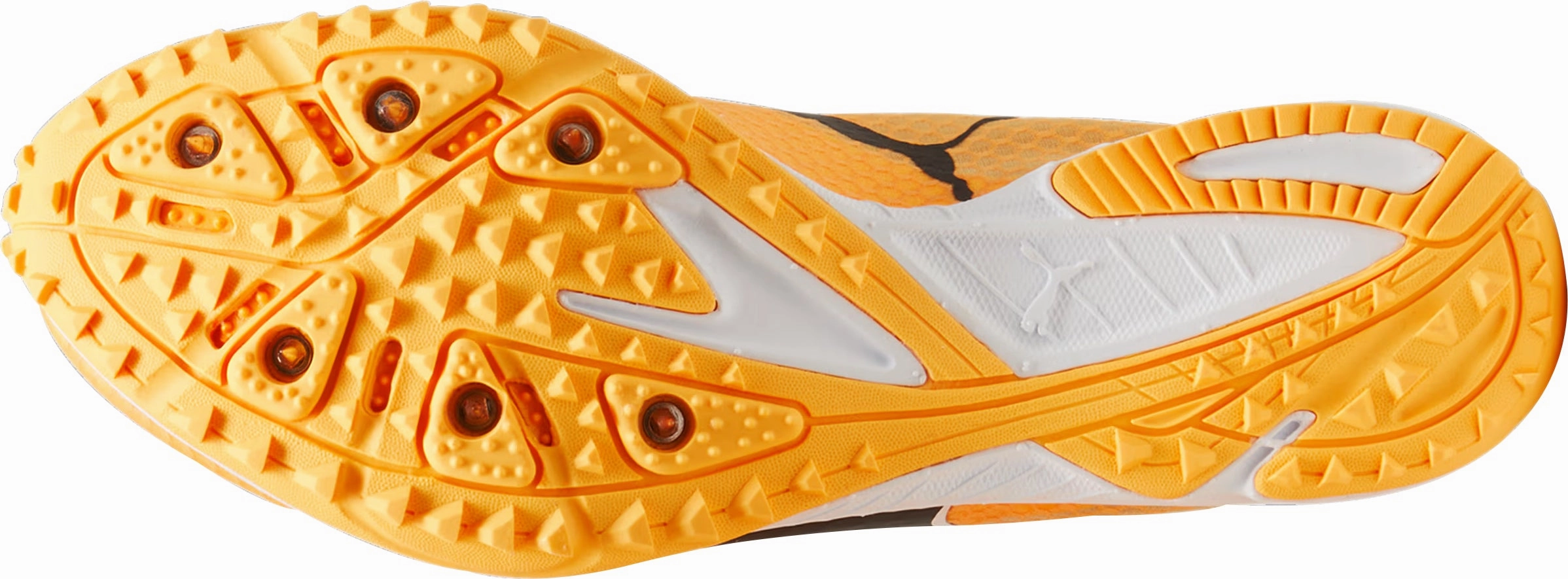 Puma evoSpeed Haraka 8 Cross Country Spikes - Orange Light support