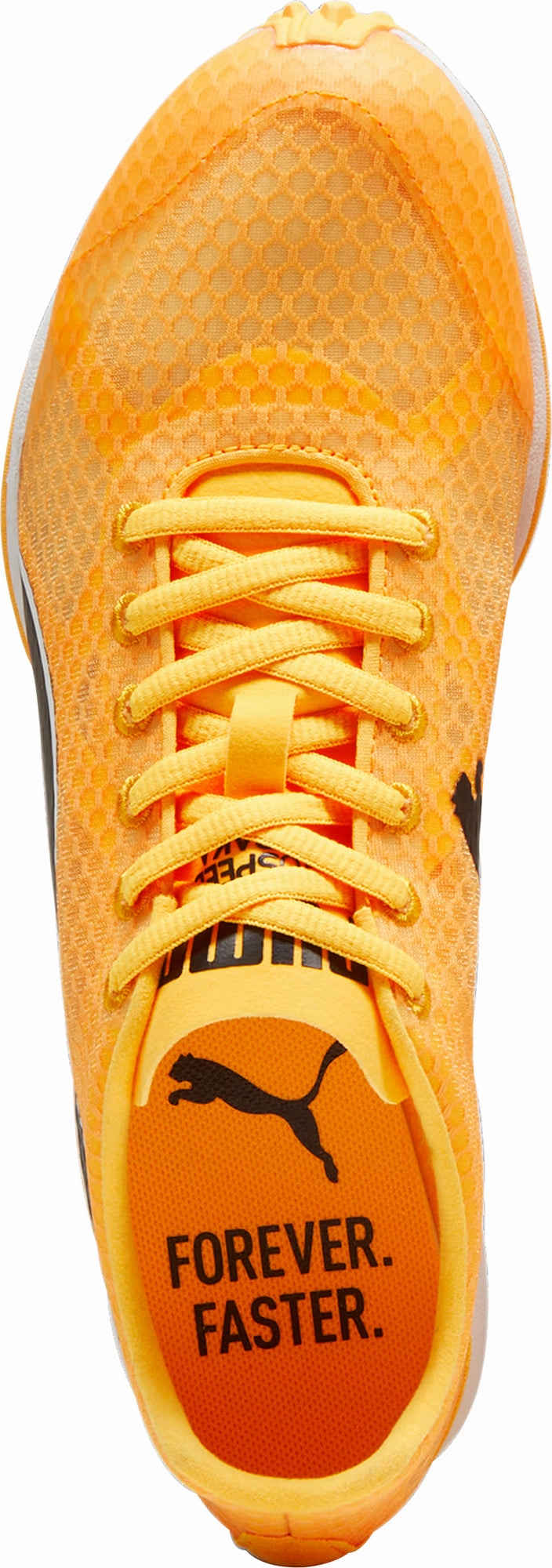 Puma evoSpeed Haraka 8 Cross Country Spikes - Orange Pace Shift
