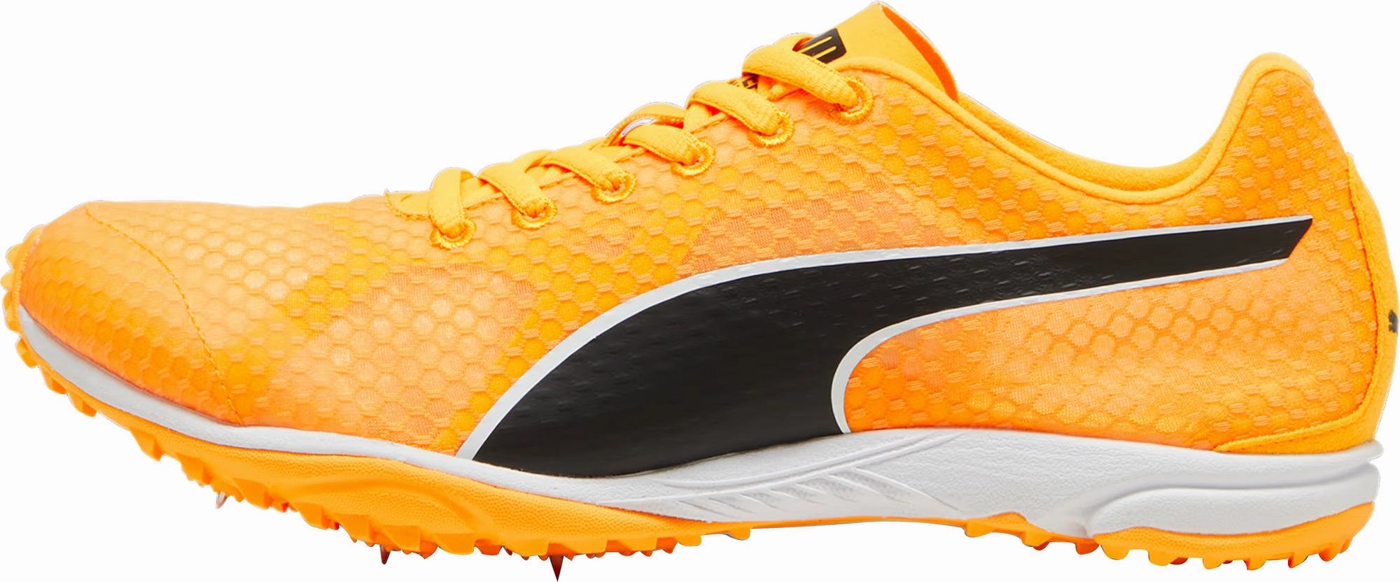 Puma evoSpeed Haraka 8 Cross Country Spikes - Orange Energy Cushion