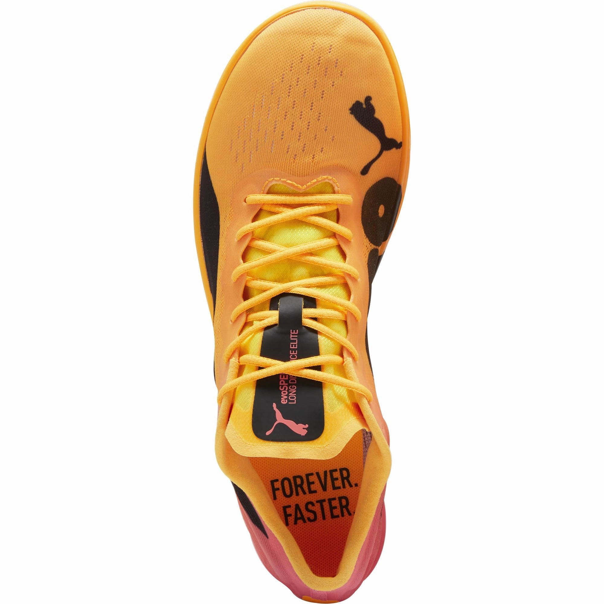 Padded Ankle Quick Drying Puma evoSpeed Long Distance Nitro Elite 2 Running Spikes - Orange