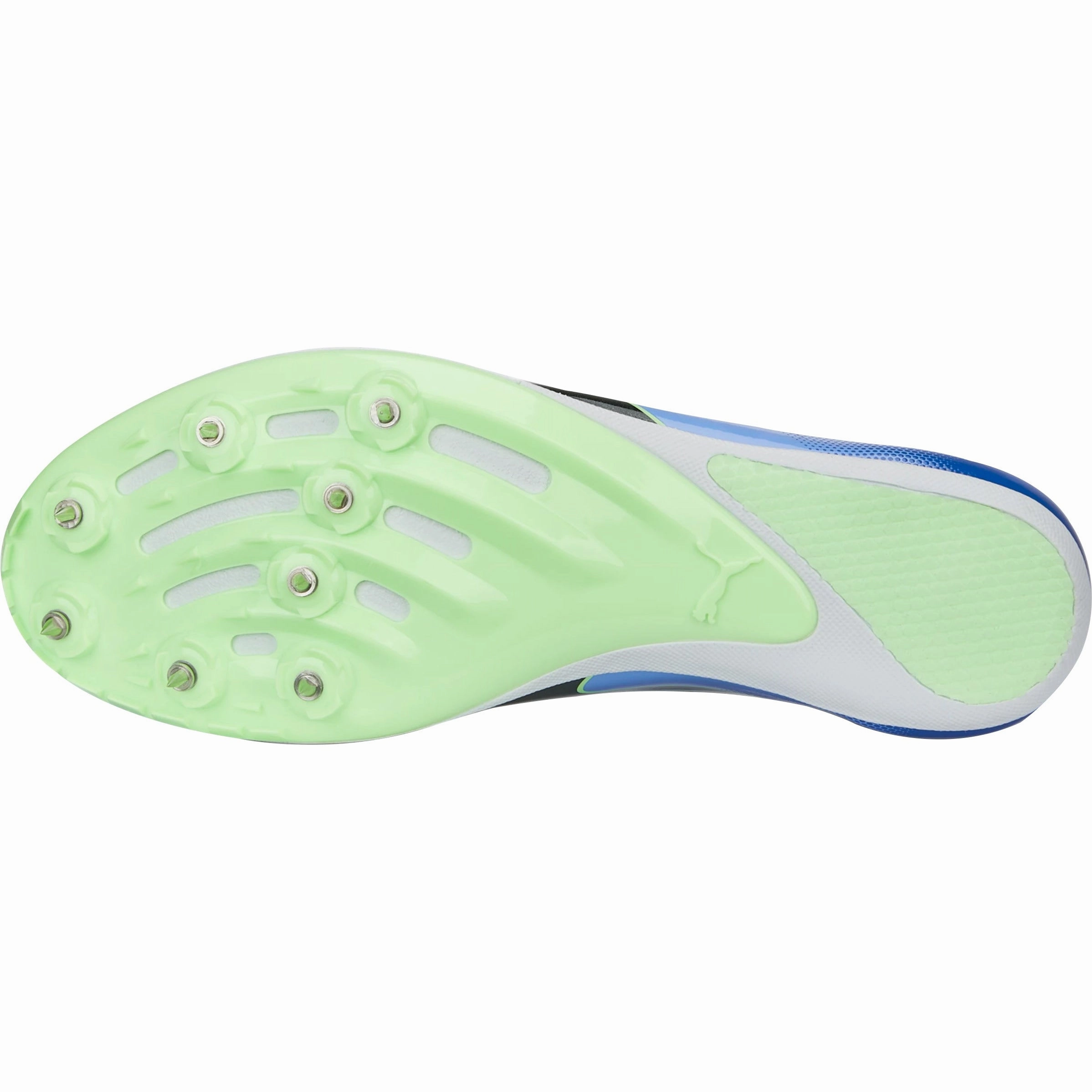 Anti Odor Puma evoSpeed Sprint 14 Running Spikes - Purple