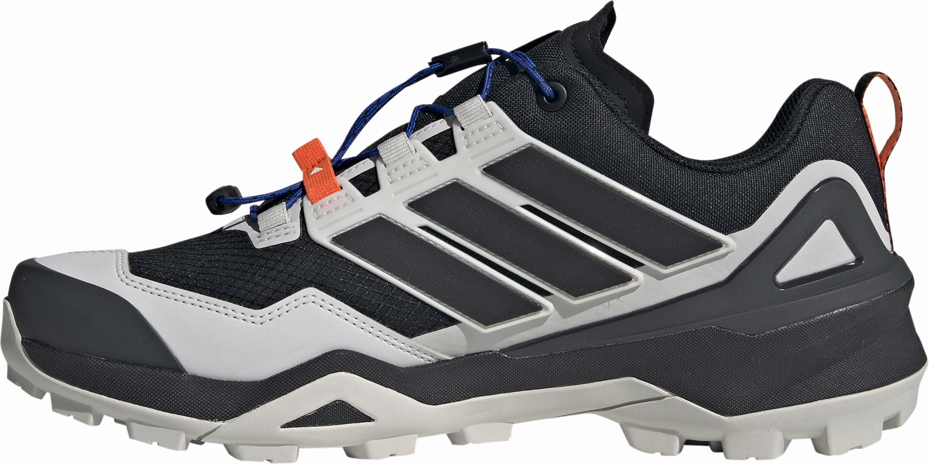 adidas Terrex Skychaser GORE-TEX Mens Walking Shoes - Black family walk afternoon walk