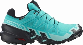 adult running wear Lateral Stability Salomon Speedcross 6 GORE-TEX Womens Trail Running Shoes - Blue