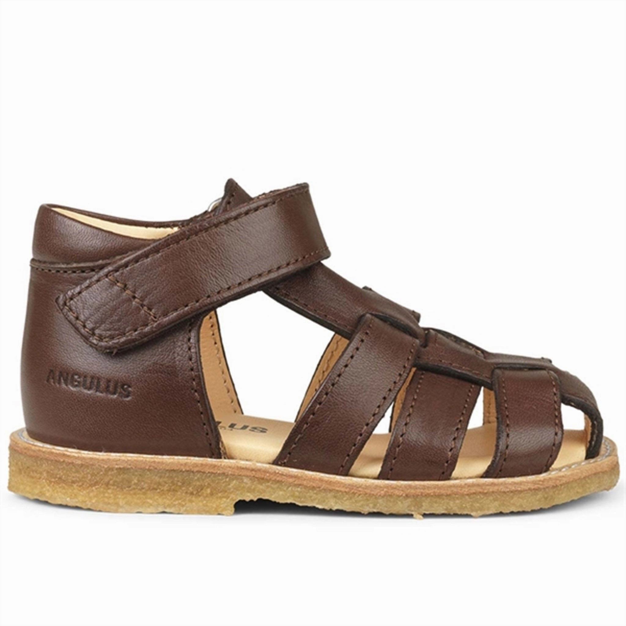 Angulus Starter Sandal w. Velcro Dark Brown Style Pair