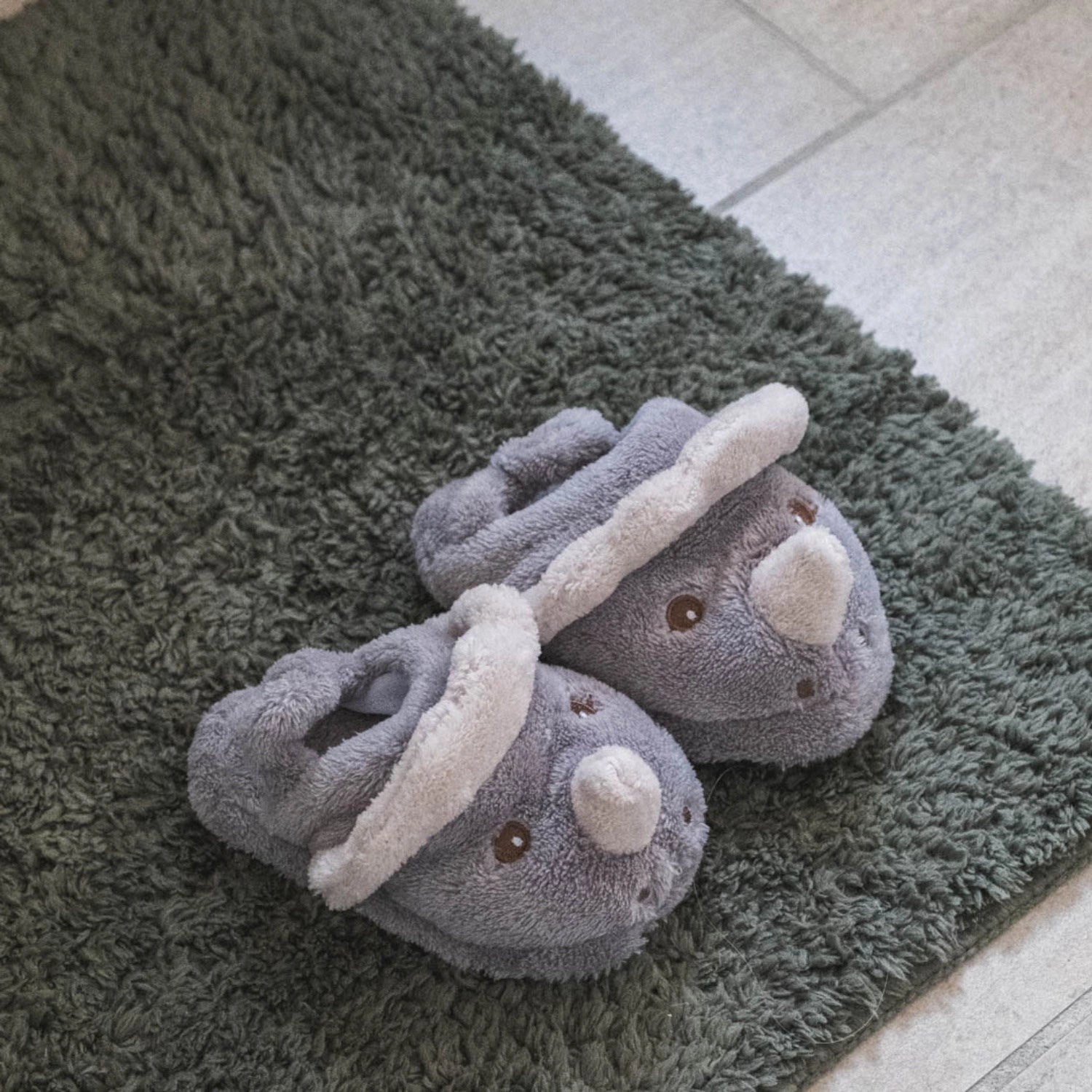 Running Friendly Canvas Material That's Mine Dino Miles slippers