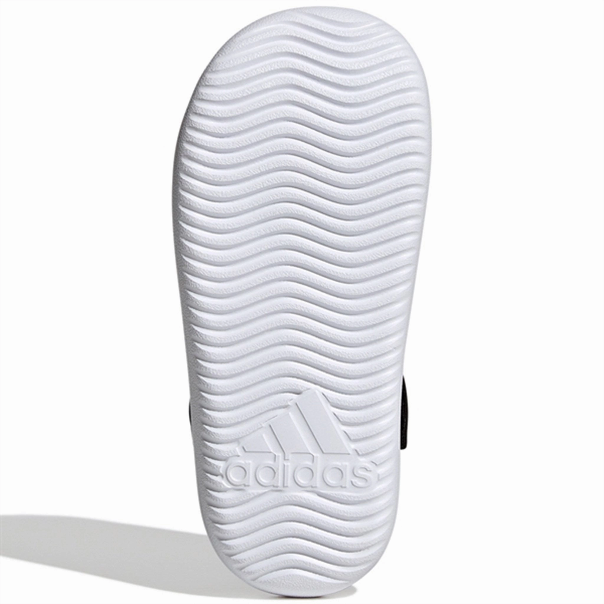 adidas Originals Water Sandals Core Black / Cloud White Elegant