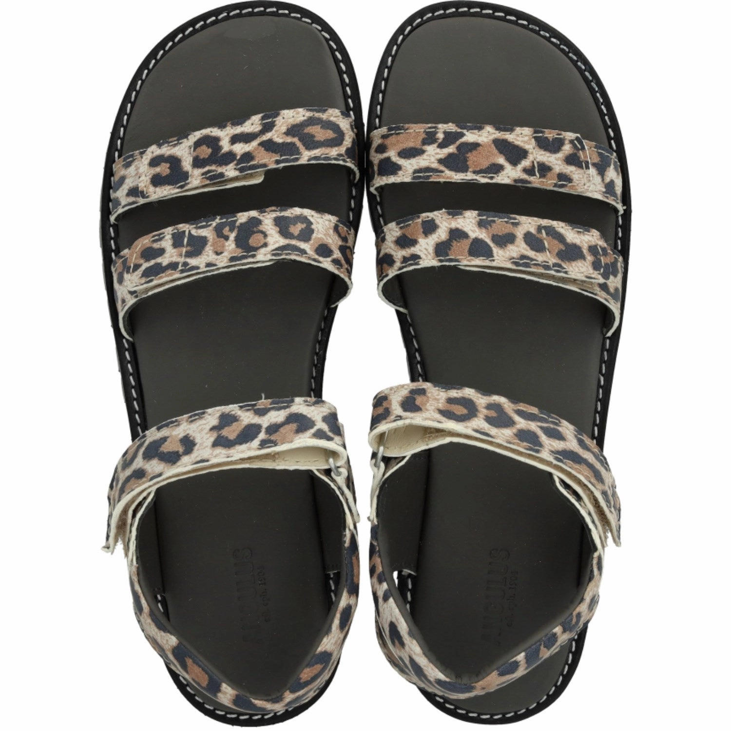 Perfect For Pools Flexible Wear Angulus Leopard Suede Adjustable Leather Sandal with Velcro