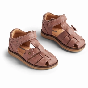 Daily Walk Wheat Sandal Closed Toe Sky Flower Old Rose